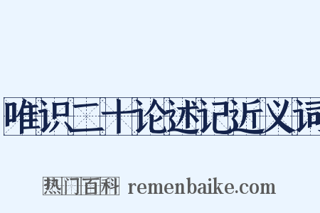 唯识二十论述记近义词是什么意思的图片